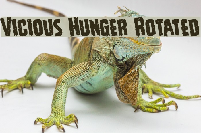Vicious Hunger Rotated フォント examples