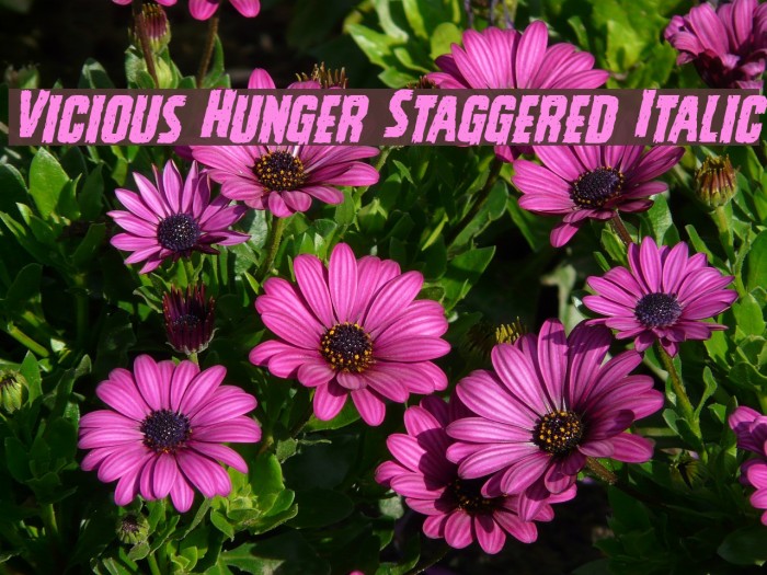 Vicious Hunger Staggered Italic Example 2