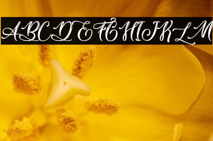 Vicky Cinthia - Personal Use Example 1