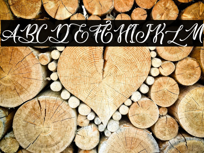 Vicky Cinthia - Personal Use Example 2