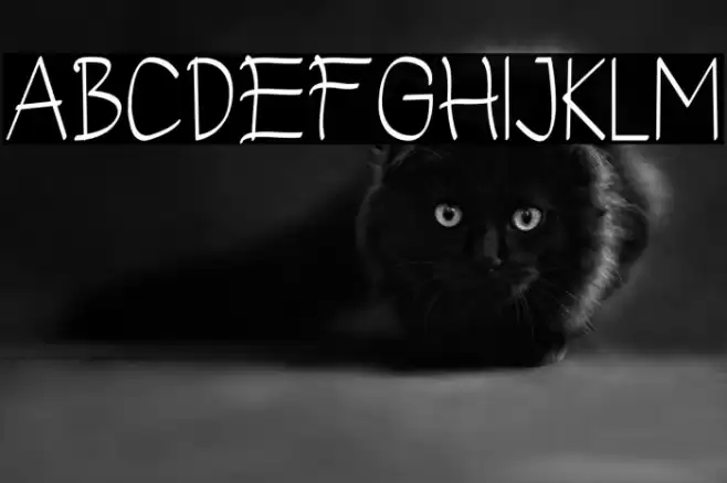 Vickydian Font examples