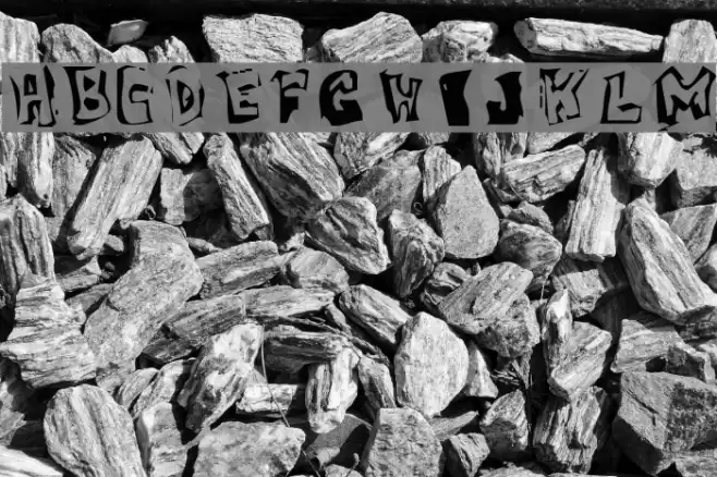 Victim  OddType Polices examples