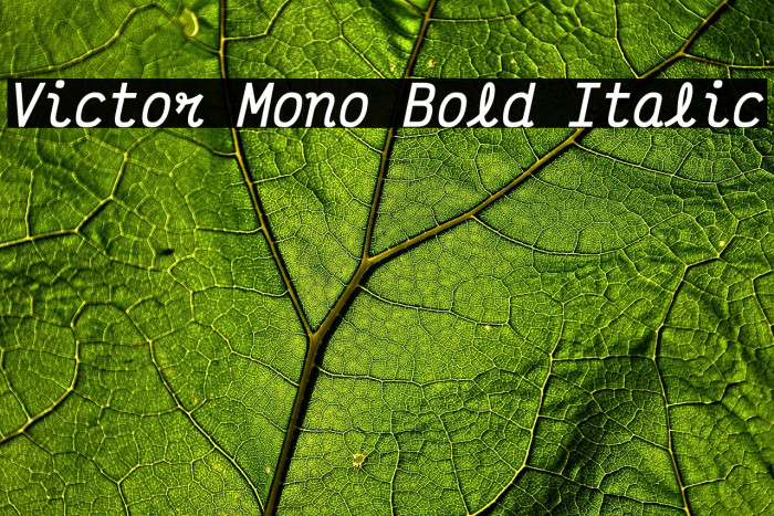 Victor Mono Bold Italic Example 2