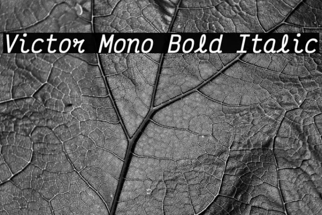 Victor Mono Bold Italic Шрифта examples