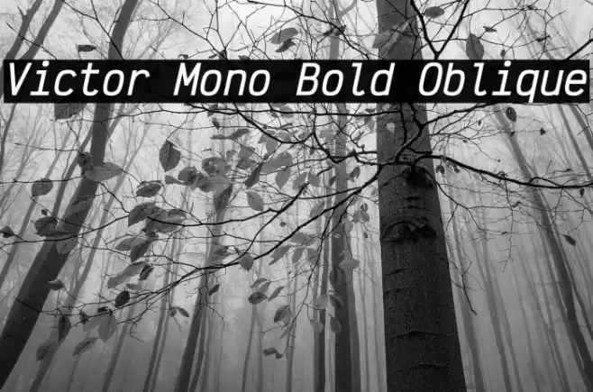 Victor Mono Bold Oblique Font examples