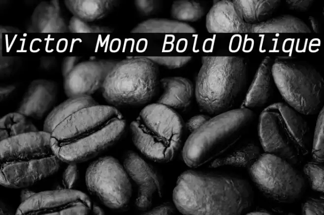 Victor Mono Bold Oblique Font examples