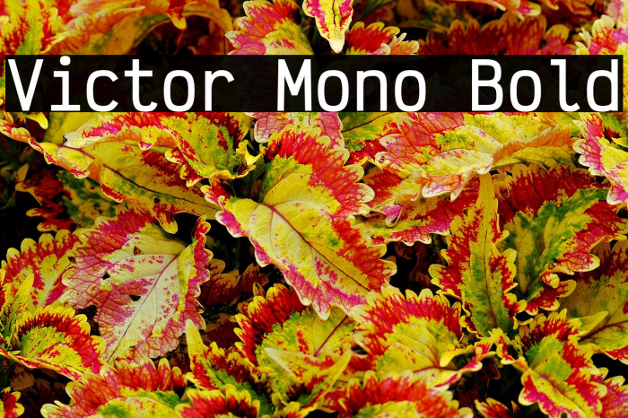 Victor Mono Bold Example 1