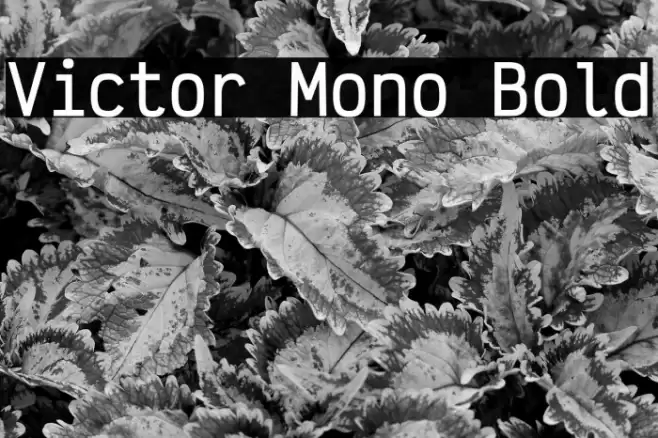Victor Mono Bold Polices examples
