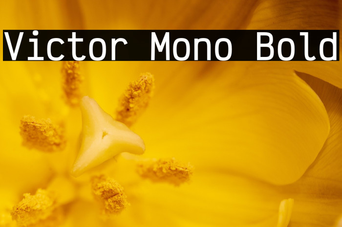 Victor Mono Bold Example 2