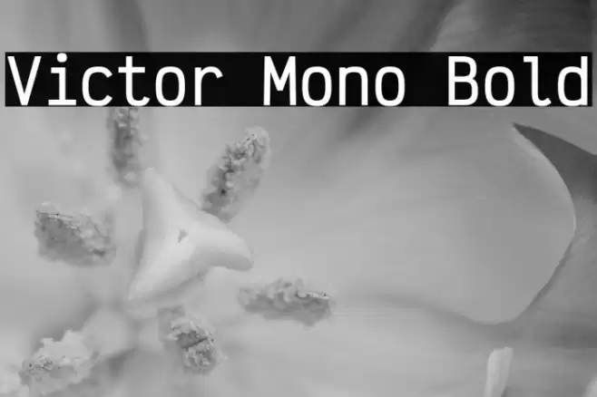 Victor Mono Bold Polices examples