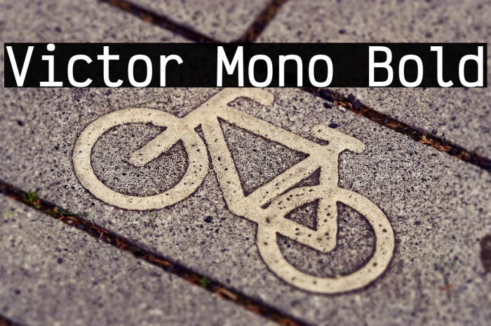 Victor Mono Bold Example 3