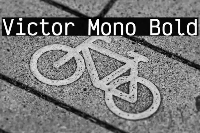 Victor Mono Bold Polices examples