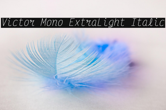 Victor Mono ExtraLight Italic Example 1