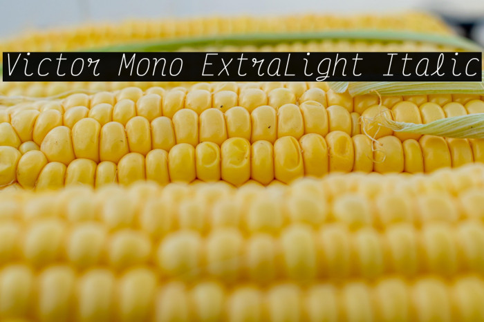 Victor Mono ExtraLight Italic Example 2