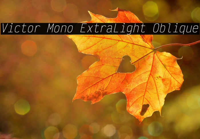 Victor Mono ExtraLight Oblique Example 2