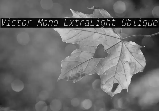 Victor Mono ExtraLight Oblique Font examples