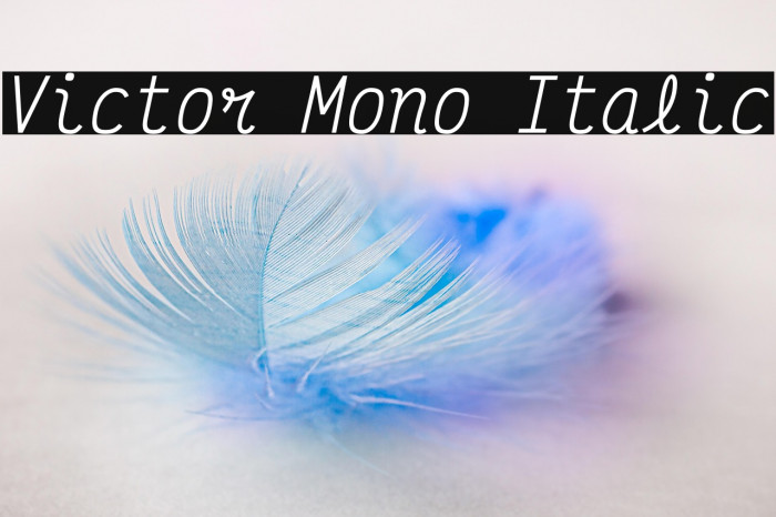 Victor Mono Italic Example 1