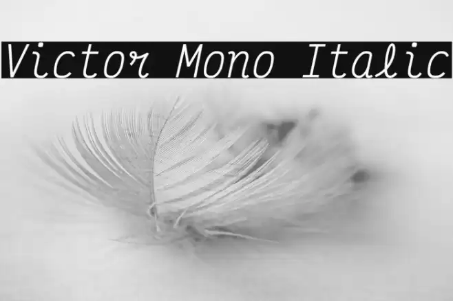 Victor Mono Italic Font examples