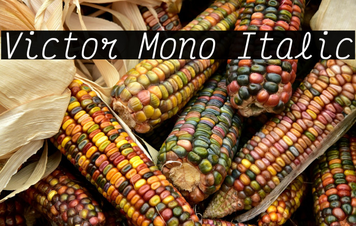 Victor Mono Italic Example 3