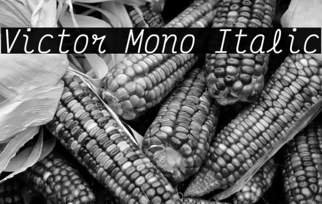 Victor Mono Italic Font examples