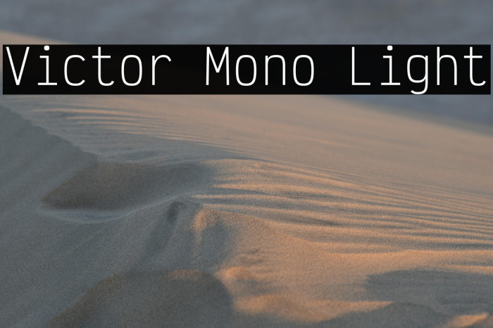 Victor Mono Light Example 1