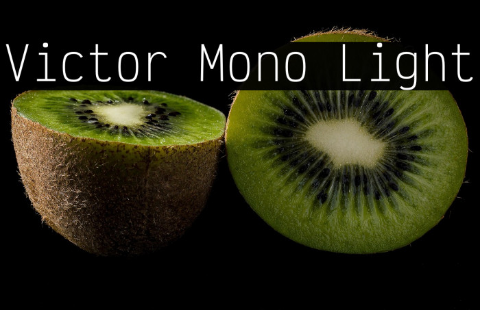 Victor Mono Light Example 3