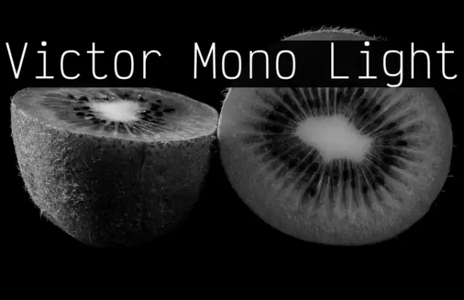 Victor Mono Light Font examples