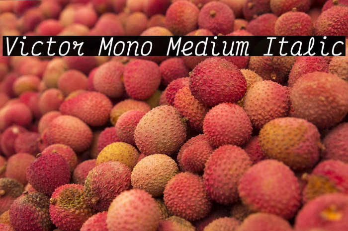 Victor Mono Medium Italic Example 2