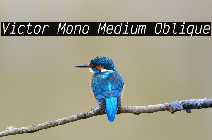 Victor Mono Medium Oblique Example 3