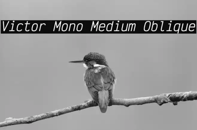 Victor Mono Medium Oblique Font examples