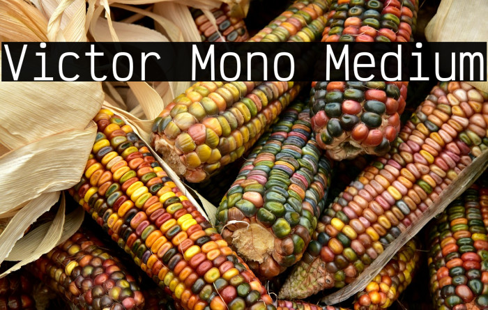 Victor Mono Medium Example 1