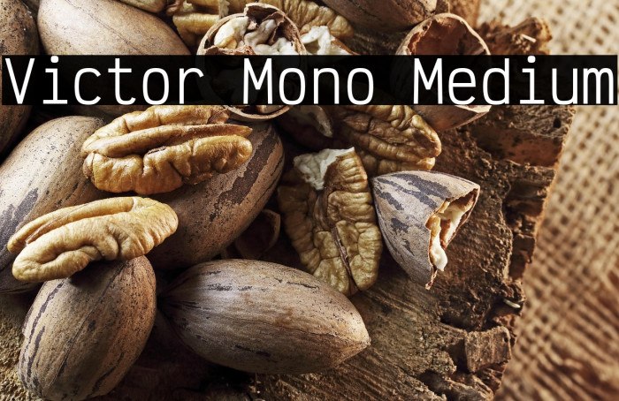 Victor Mono Medium Example 2