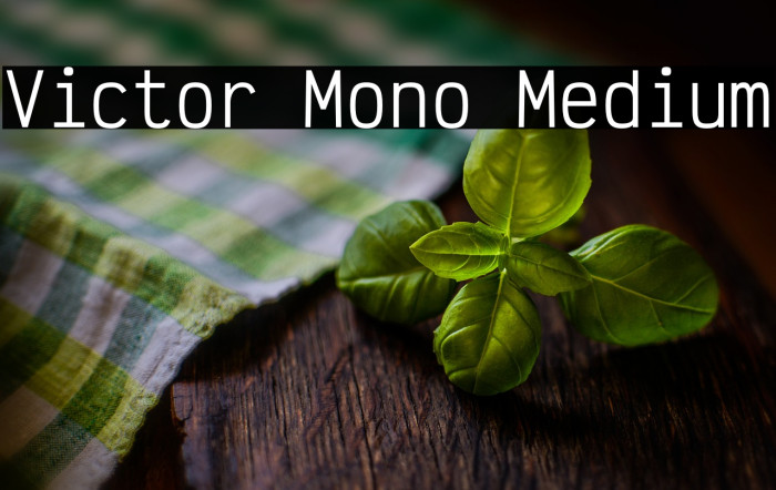 Victor Mono Medium Example 3