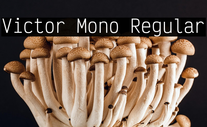 Victor Mono Regular Example 1