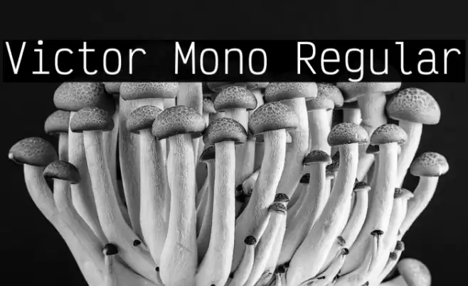 Victor Mono Regular Font examples