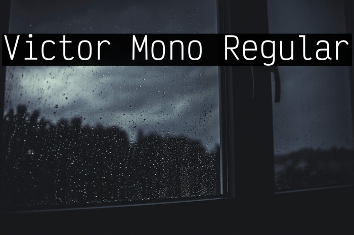 Victor Mono Regular Example 2