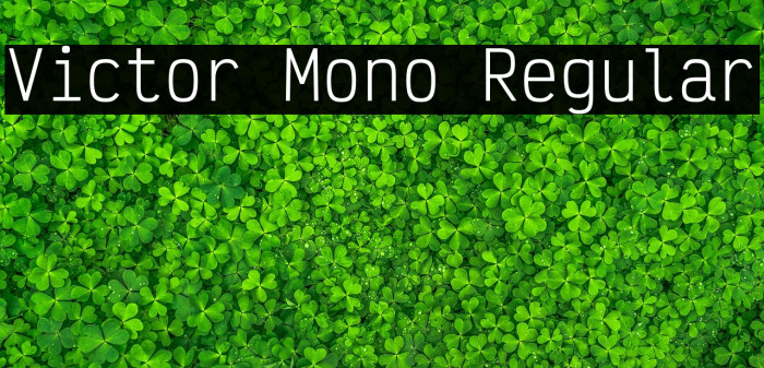 Victor Mono Regular Example 3