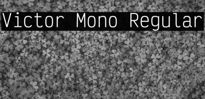 Victor Mono Regular Font examples