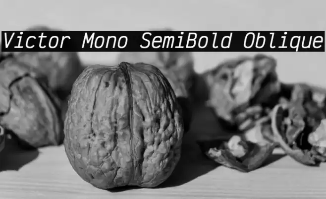 Victor Mono SemiBold Oblique フォント examples