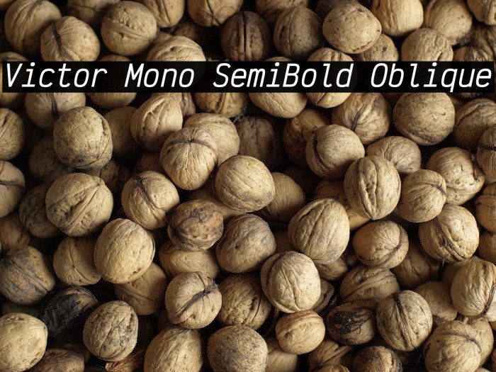 Victor Mono SemiBold Oblique Example 3