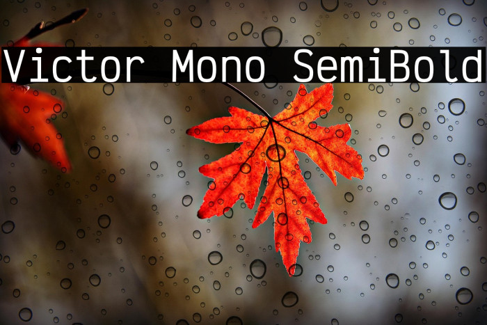 Victor Mono SemiBold Example 2