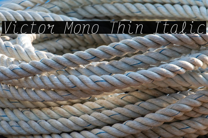 Victor Mono Thin Italic Example 1