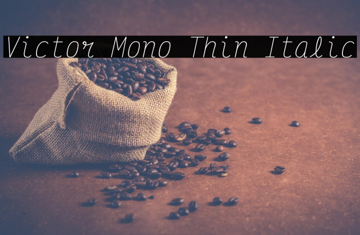 Victor Mono Thin Italic Example 2