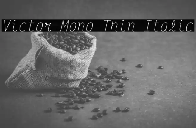 Victor Mono Thin Italic Polices examples