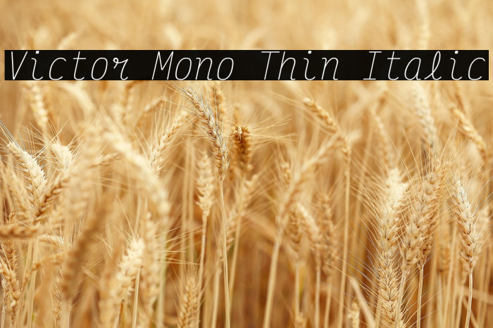Victor Mono Thin Italic Example 3