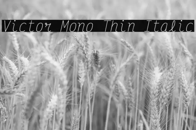 Victor Mono Thin Italic Polices examples