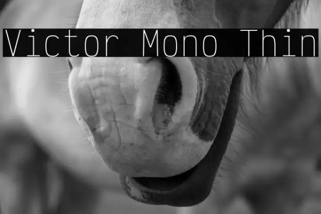 Victor Mono Thin フォント examples