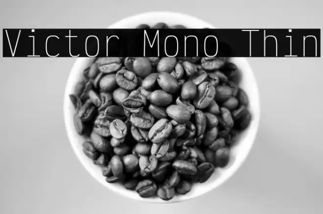 Victor Mono Thin フォント examples