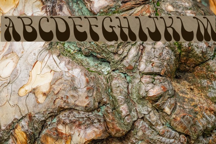 Victor Moscoso Font examples