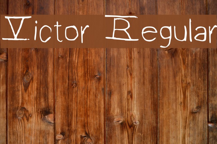 Victor Regular Font examples